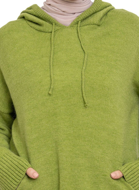 Apple Hoodie Pullover - Khotwh